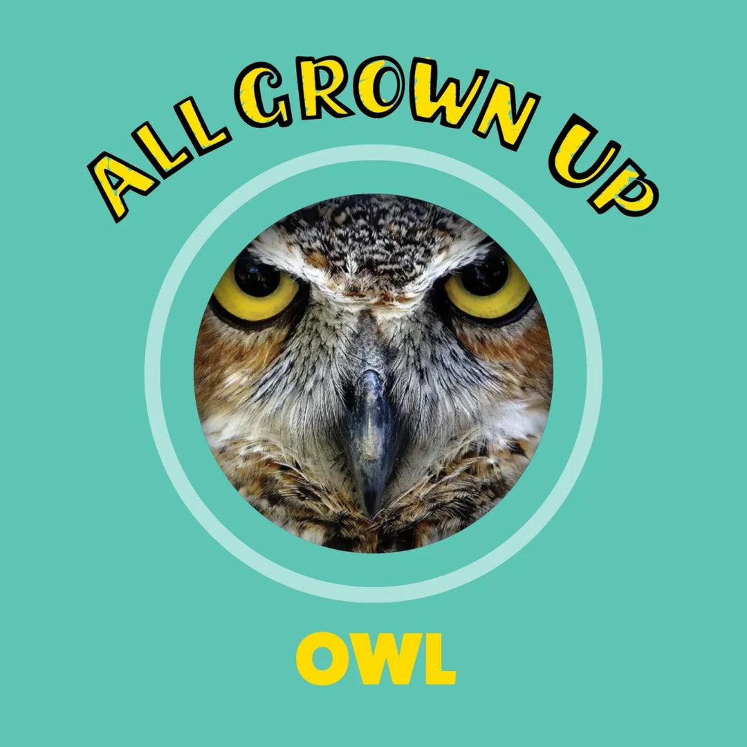 Peek and See Baby Animals All Grown Up - Tools 4 Teaching