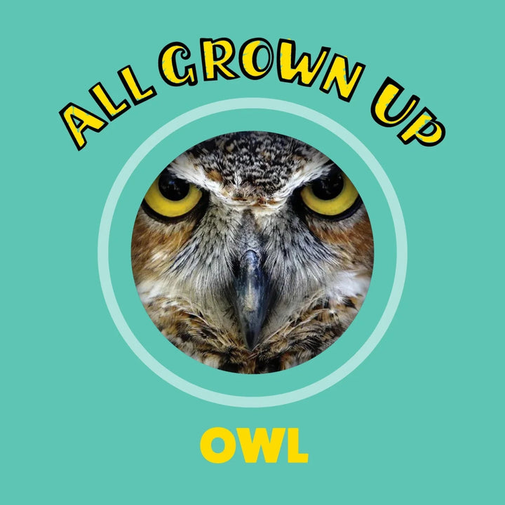 Peek and See Baby Animals All Grown Up - Tools 4 Teaching