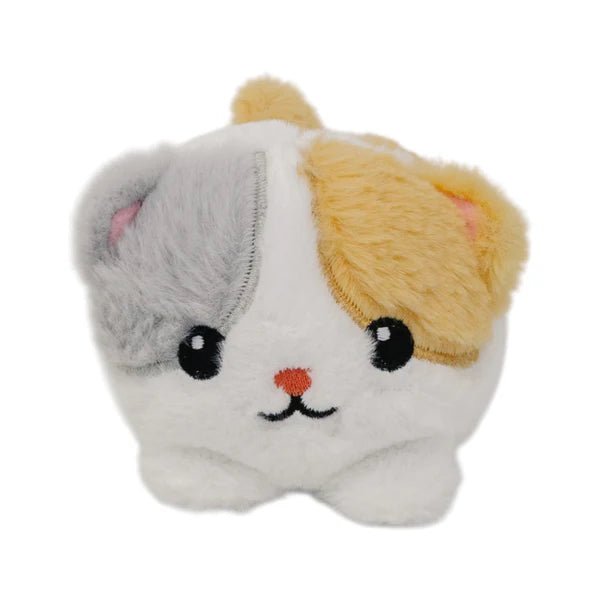 Warm pals™ Baby Kitten - Tools 4 Teaching