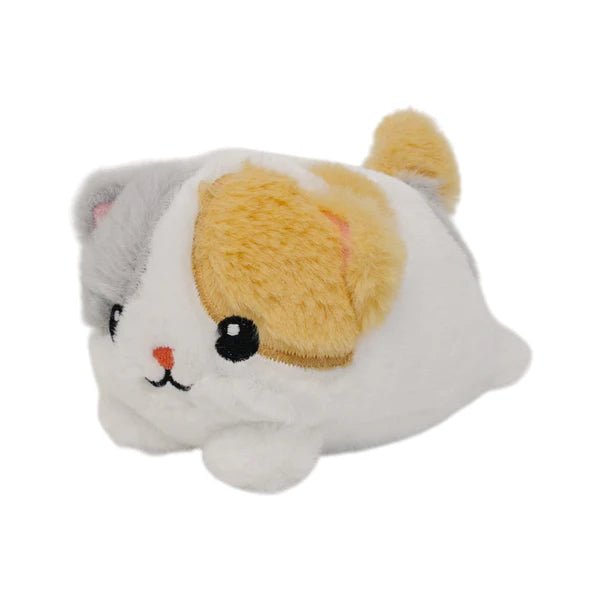 Warm pals™ Baby Kitten - Tools 4 Teaching