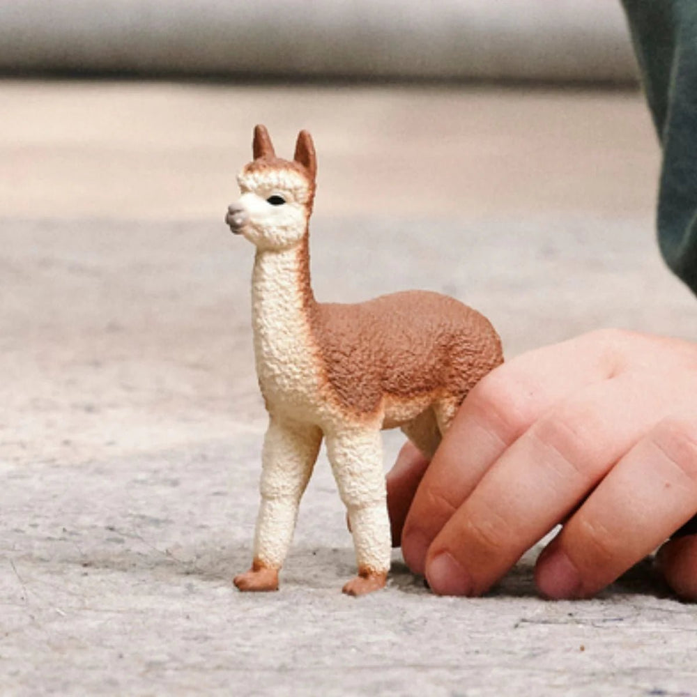 Alpaca - Tools 4 Teaching