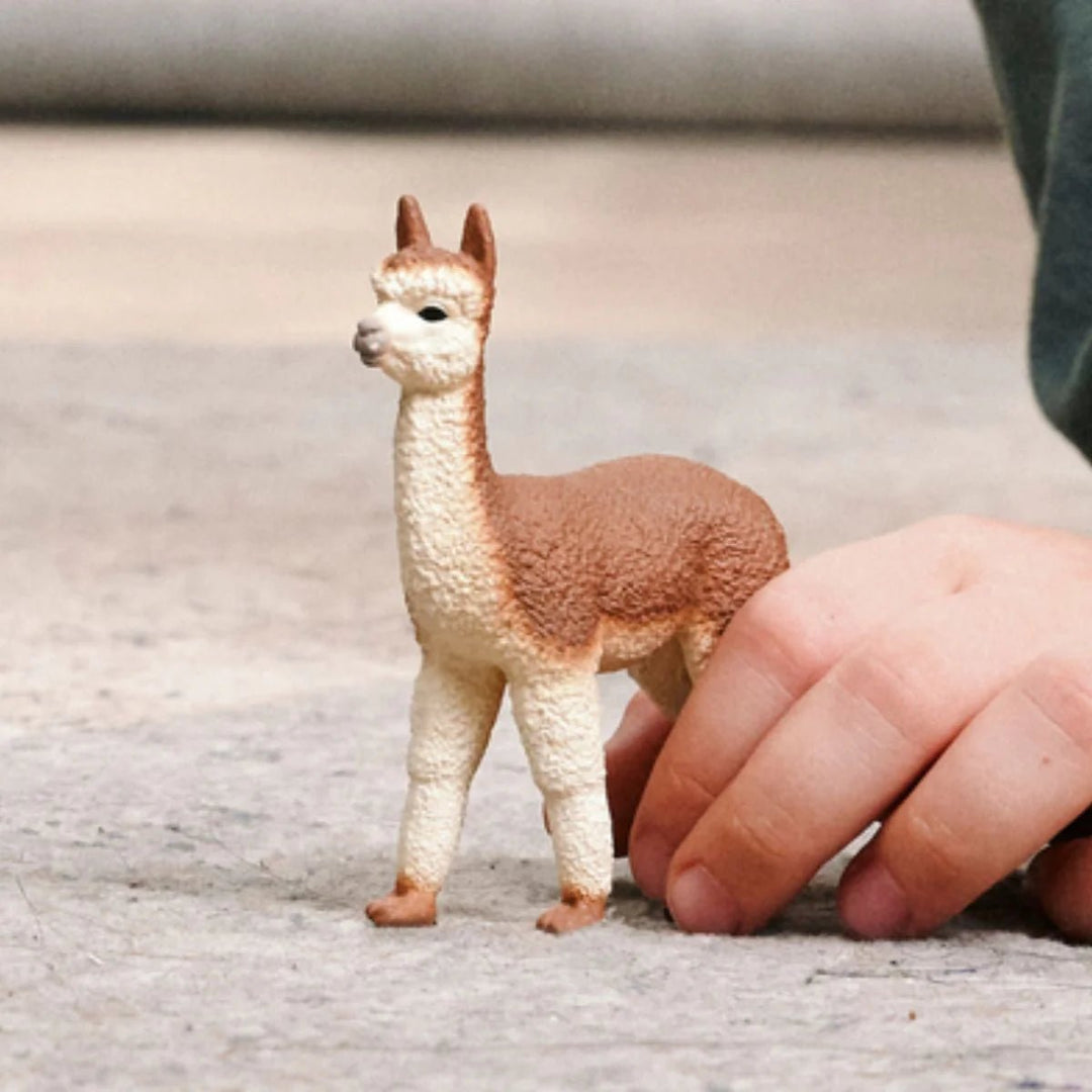 Alpaca - Tools 4 Teaching