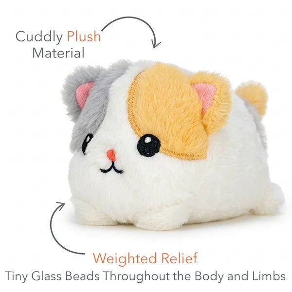 Warm pals™ Baby Kitten - Tools 4 Teaching