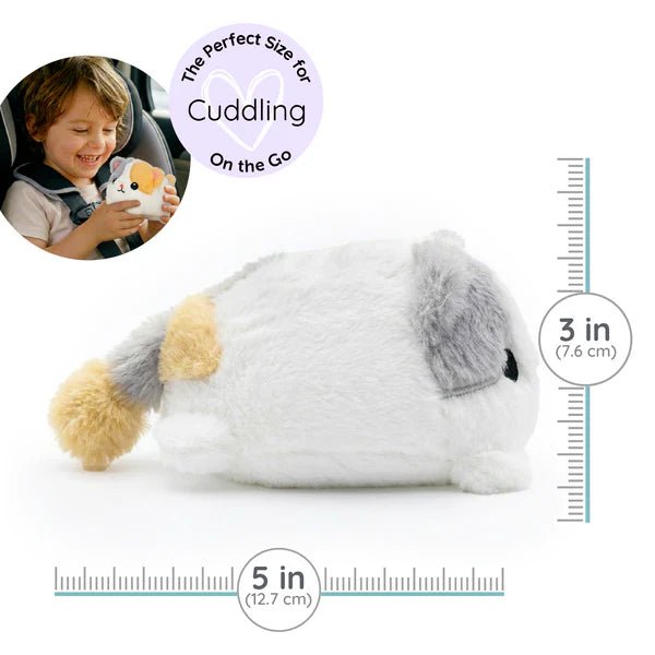 Warm pals™ Baby Kitten - Tools 4 Teaching