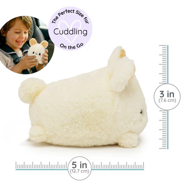 Warm pals™ Baby Bunny - Tools 4 Teaching