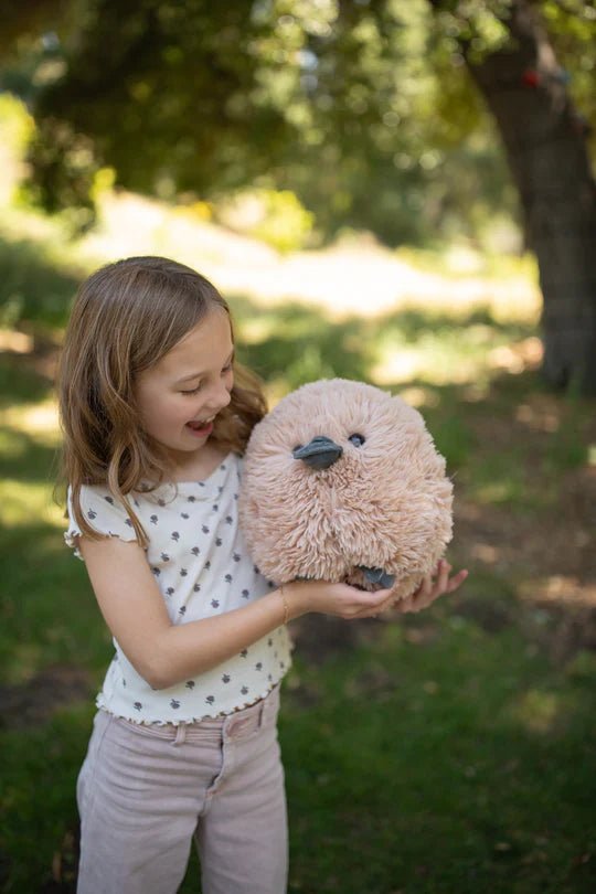 Fluffees Platypus 10"H Plush - Tools 4 Teaching