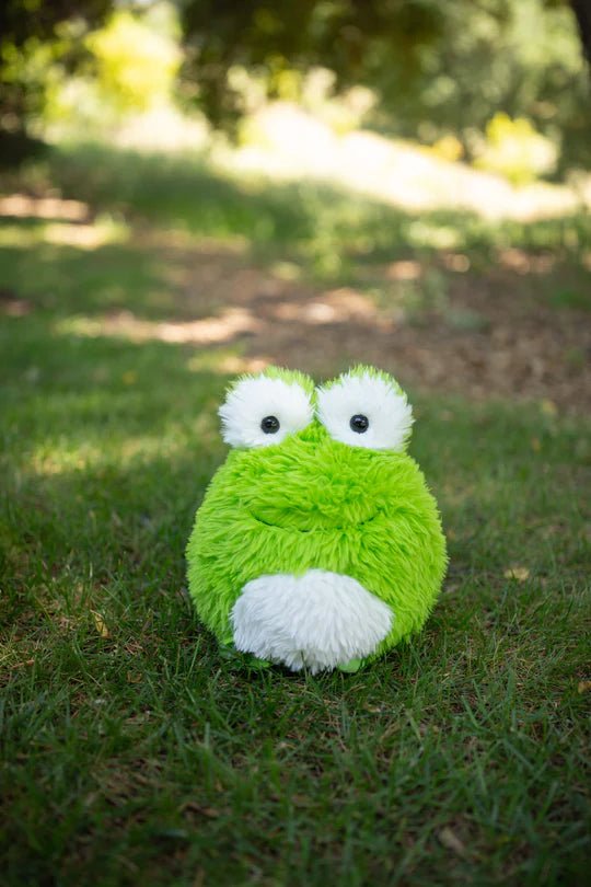 Fluffees Frog 10"H Plush - Tools 4 Teaching