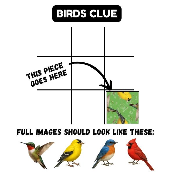 Birds Squzzle - Tools 4 Teaching