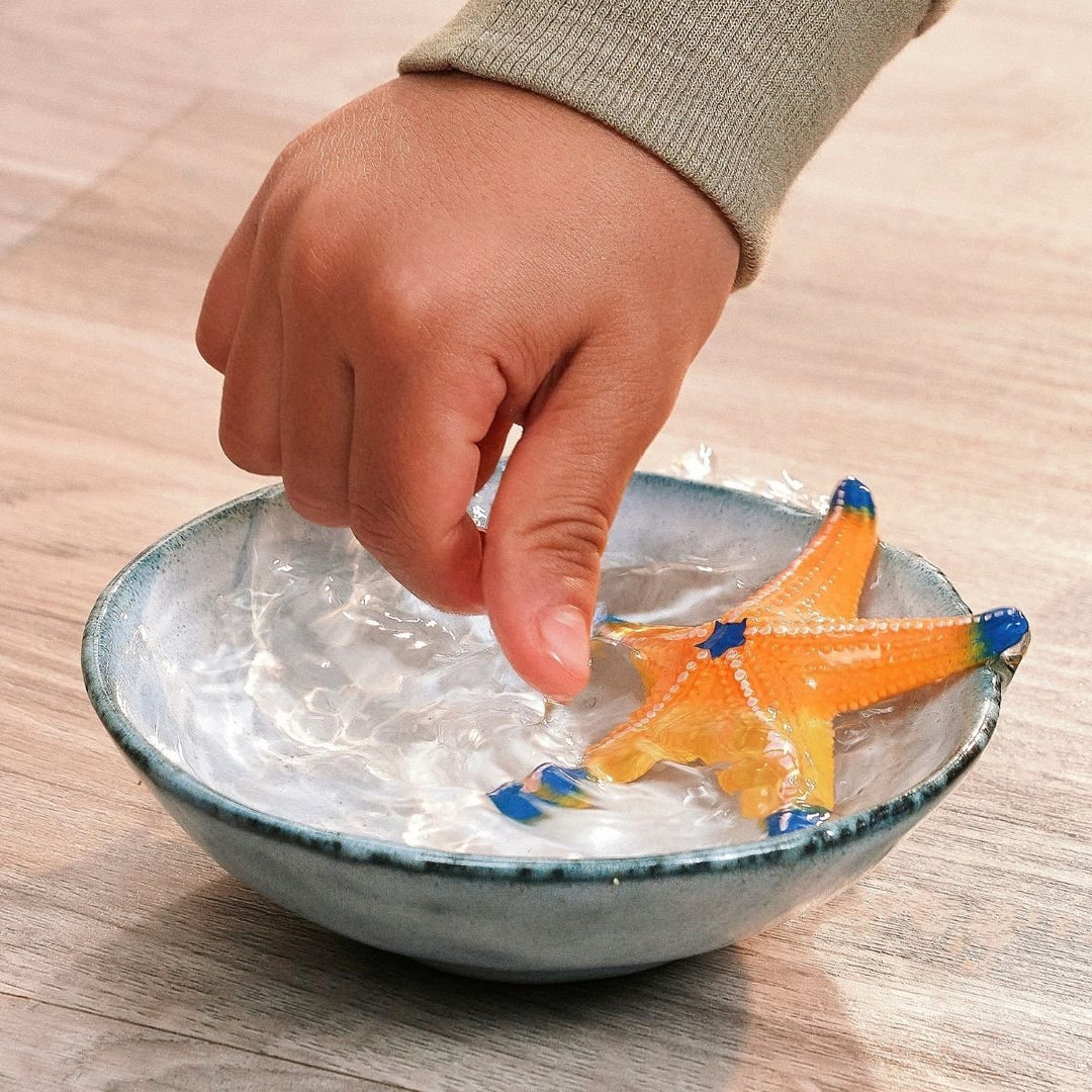 Color Changing Star Fish - Tools 4 Teaching