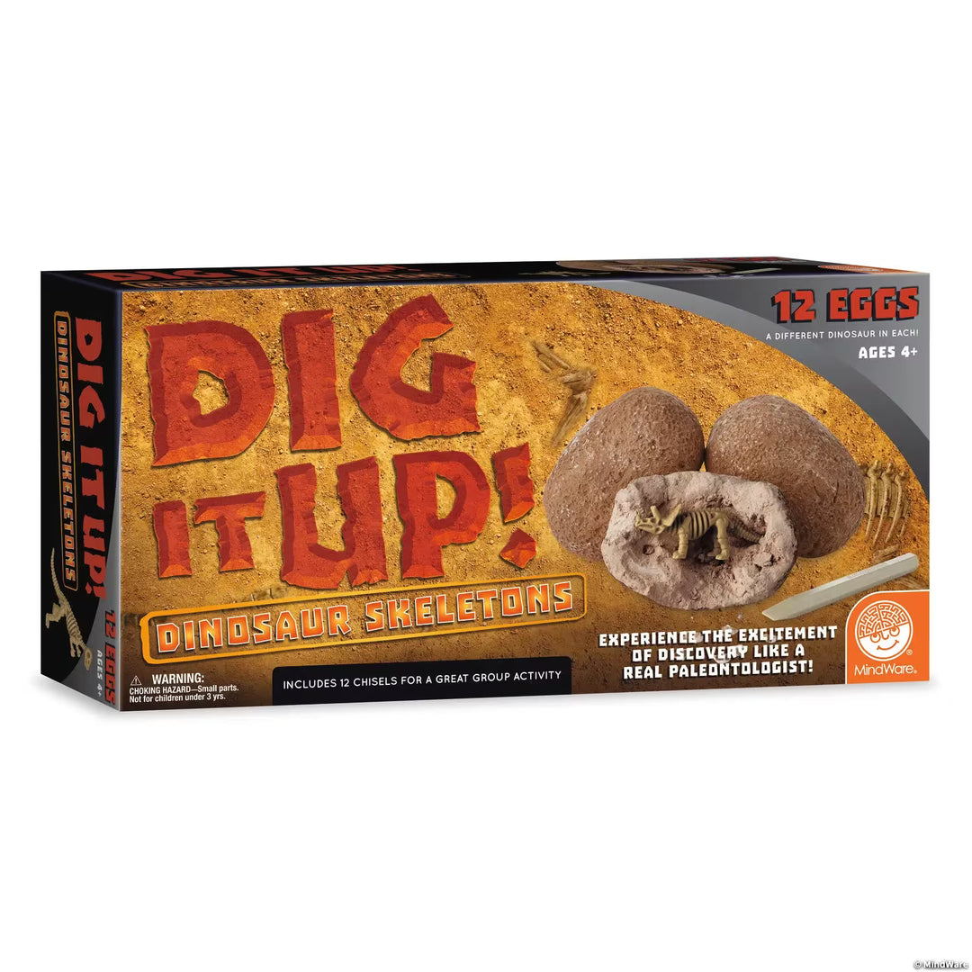 Dig It Up! Dinosaur Skeleton