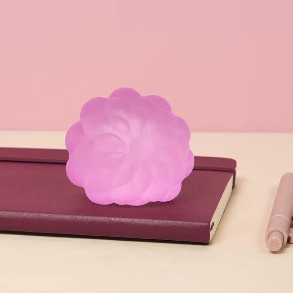 Gump Surface (Assorted) - Tools 4 Teaching