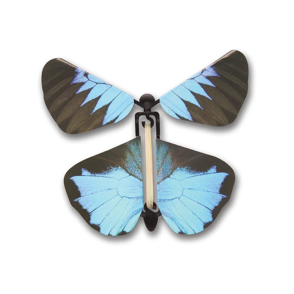 Windup Australian Butterflies (Assorted Colors)-Science & STEM-Tools 4 Teaching-Classroom Decor and More