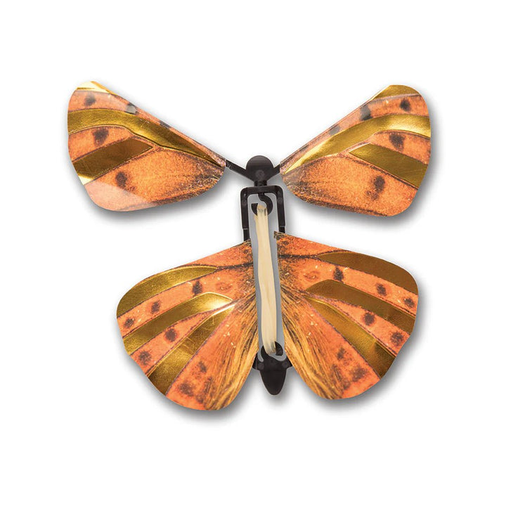 Windup Australian Butterflies (Assorted Colors)-Science & STEM-Tools 4 Teaching-Classroom Decor and More