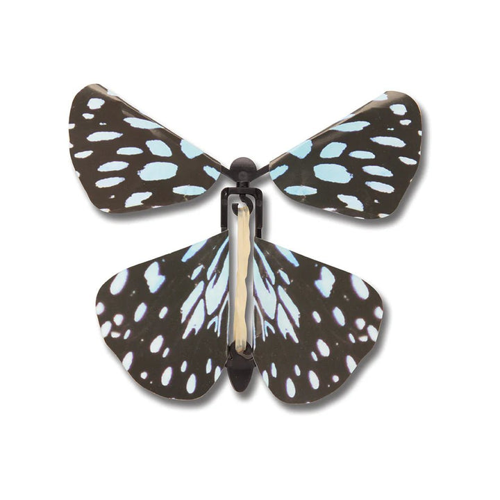 Windup Australian Butterflies (Assorted Colors)-Science & STEM-Tools 4 Teaching-Classroom Decor and More