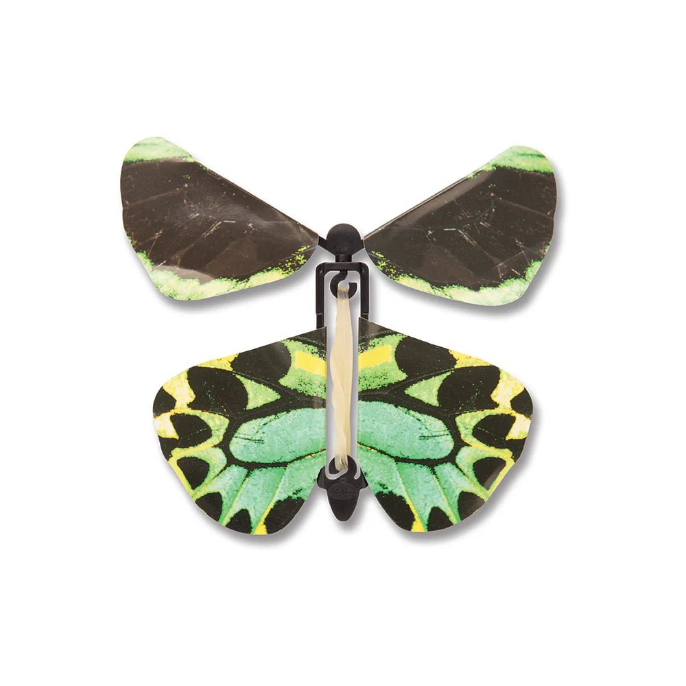 Windup Australian Butterflies (Assorted Colors)-Science & STEM-Tools 4 Teaching-Classroom Decor and More