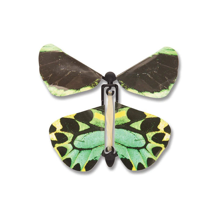 Windup Australian Butterflies (Assorted Colors)-Science & STEM-Tools 4 Teaching-Classroom Decor and More