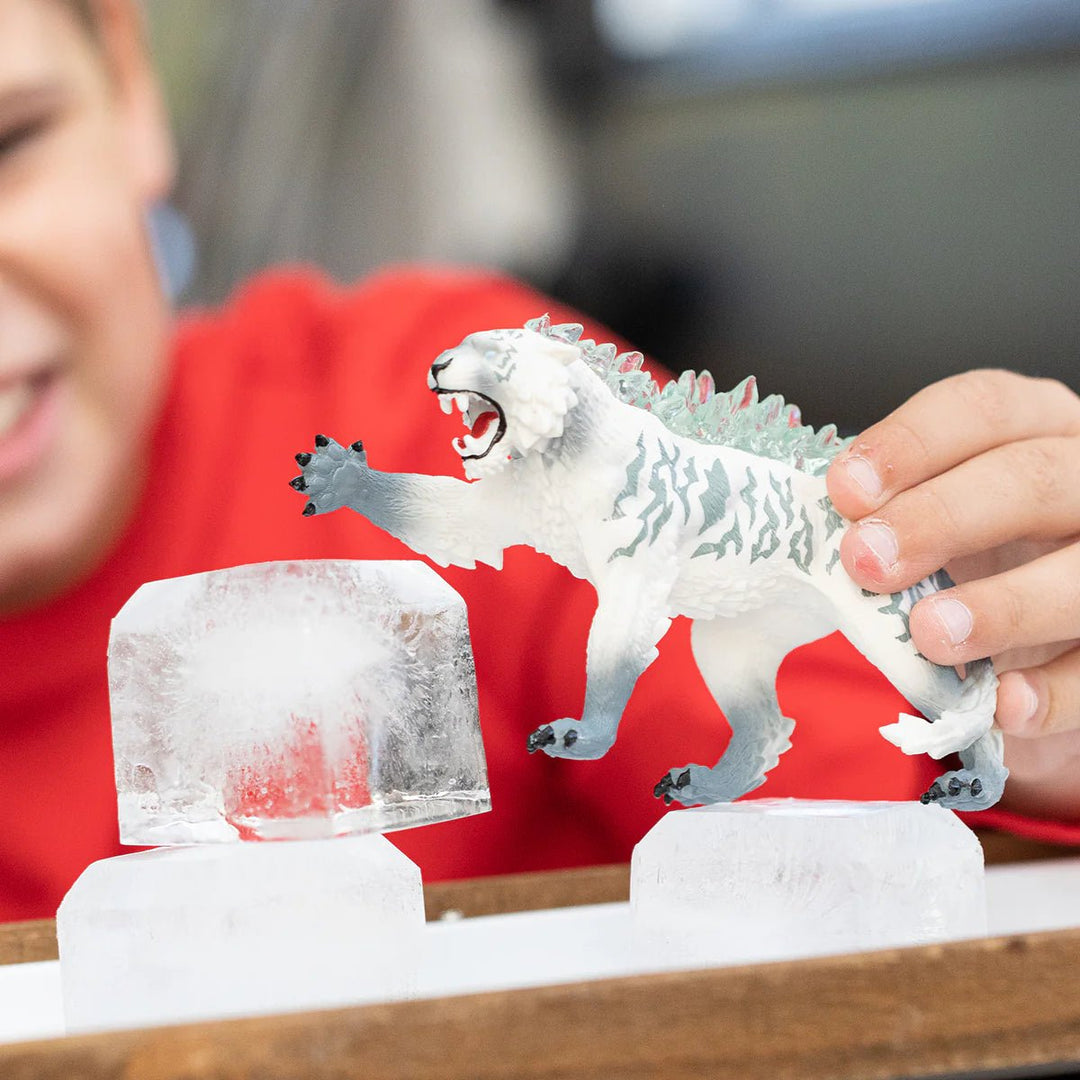Ice Tiger - Tools 4 Teaching