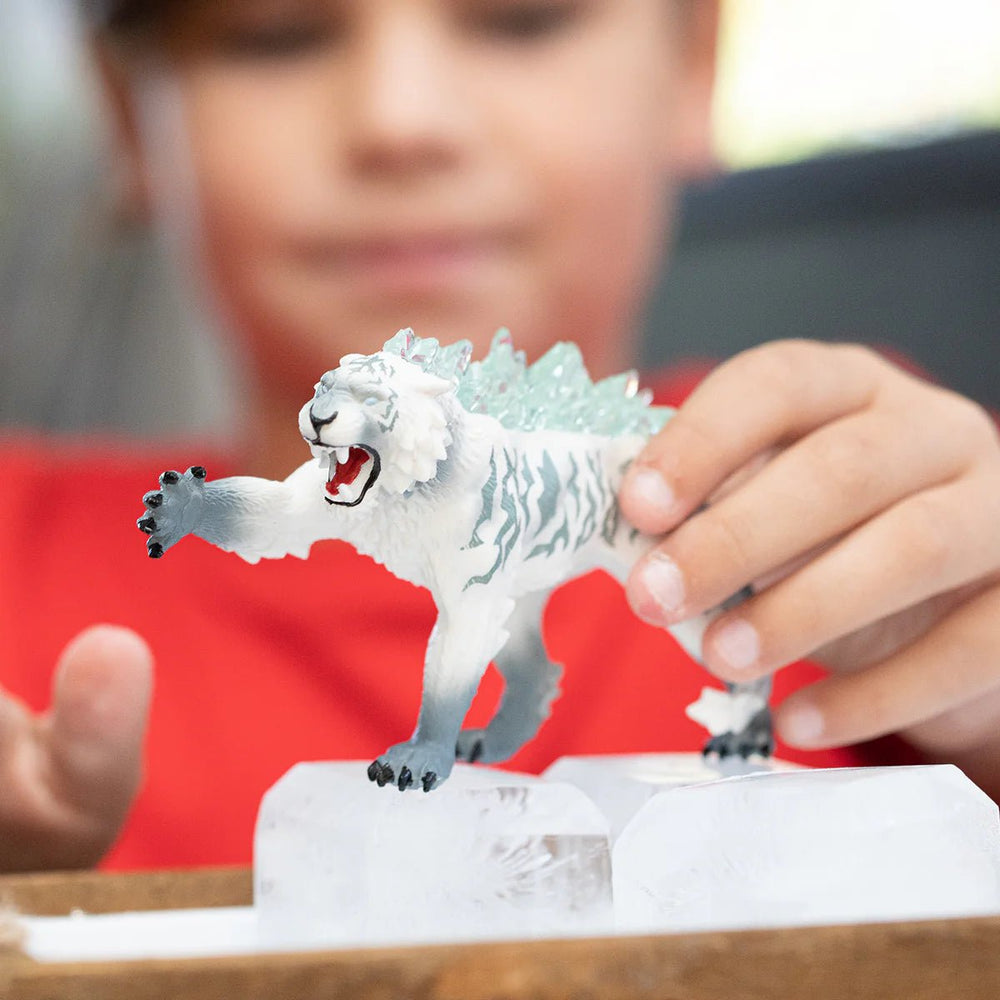 Ice Tiger - Tools 4 Teaching