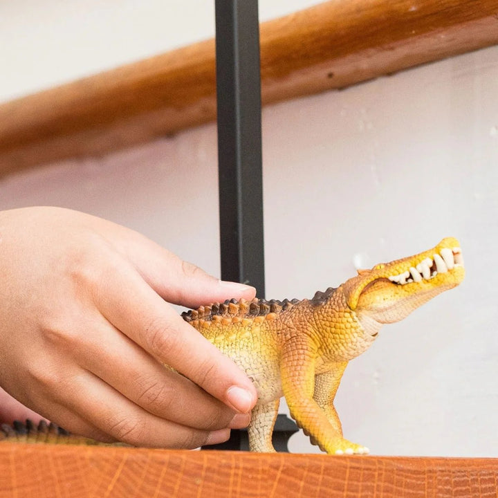 Kaprosuchus - Tools 4 Teaching