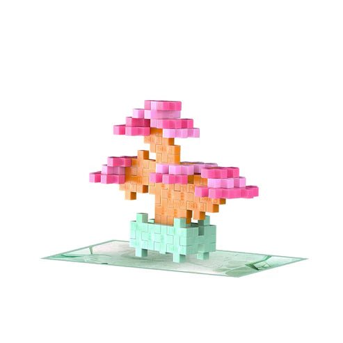 Plant Pack Blissful Bonsai - Tools 4 Teaching