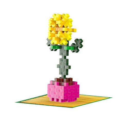 Plant Pack Sociable Sunflower - Tools 4 Teaching