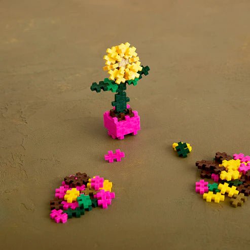 Plant Pack Sociable Sunflower - Tools 4 Teaching