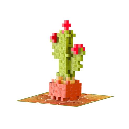 Plant Pack Calm Cactus - Tools 4 Teaching