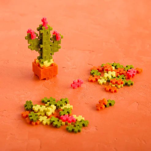 Plant Pack Calm Cactus - Tools 4 Teaching