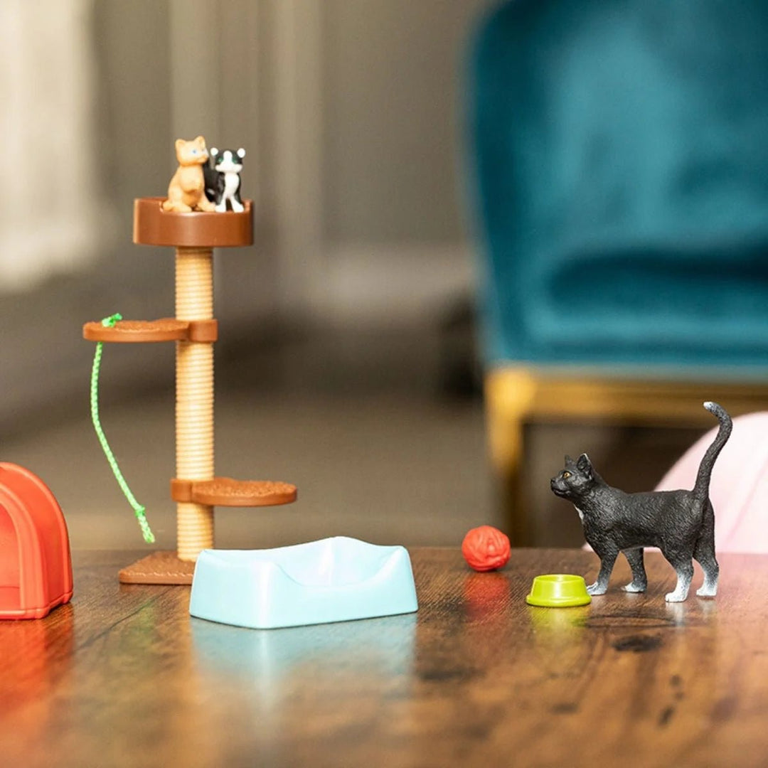 Playtime for Cute Cats - Tools 4 Teaching