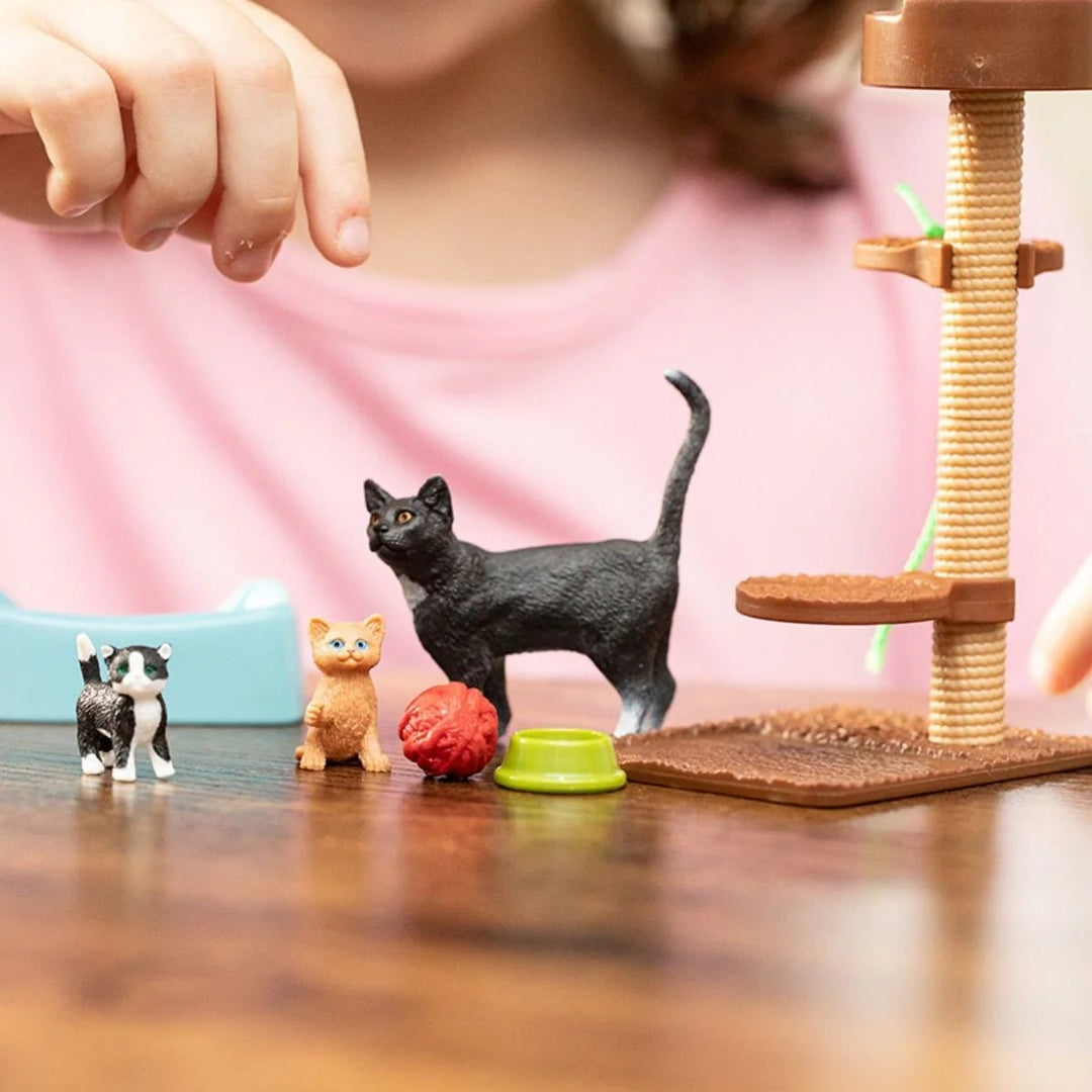 Playtime for Cute Cats - Tools 4 Teaching