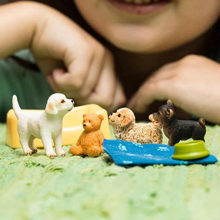 Puppy pen - Tools 4 Teaching