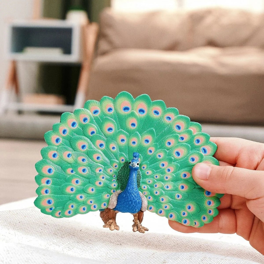 Peacock - Tools 4 Teaching