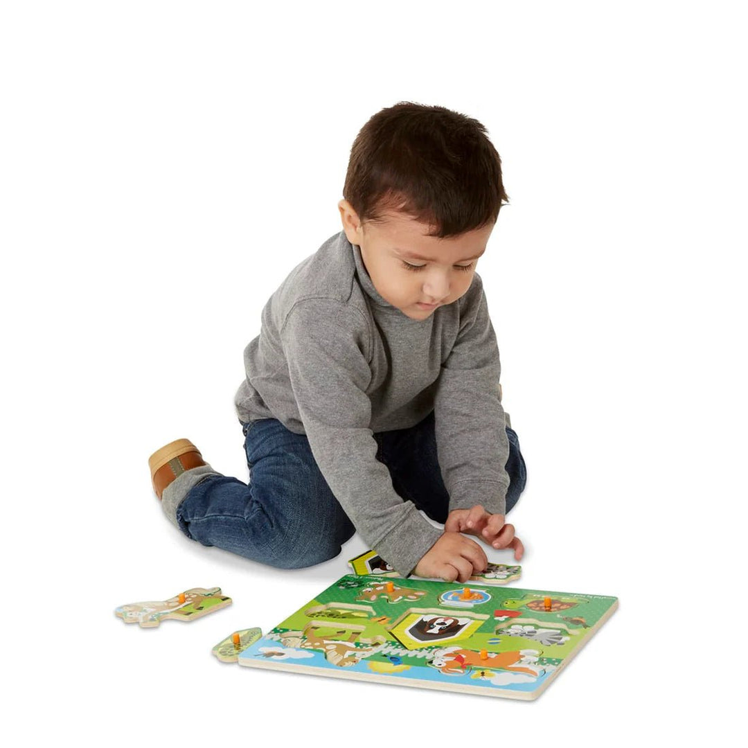 Pet Peg Puzzle - Tools 4 Teaching