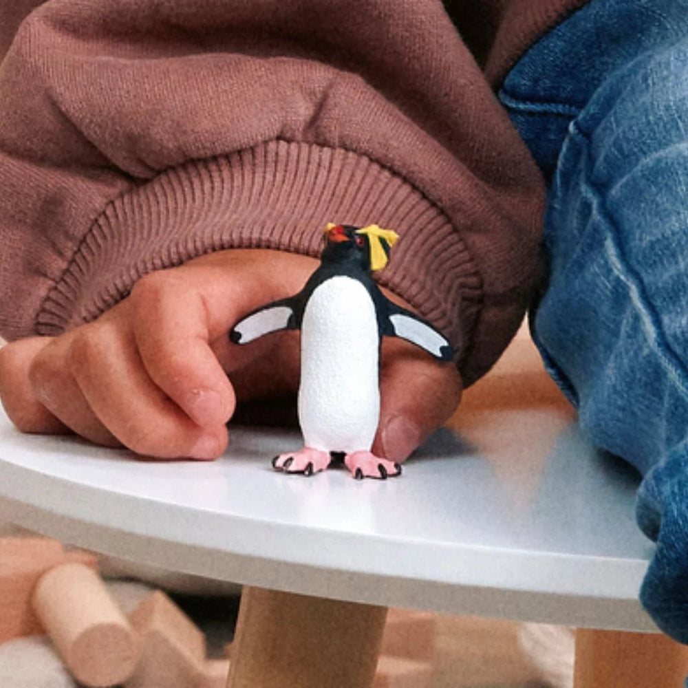 Rockhopper Penguin - Tools 4 Teaching