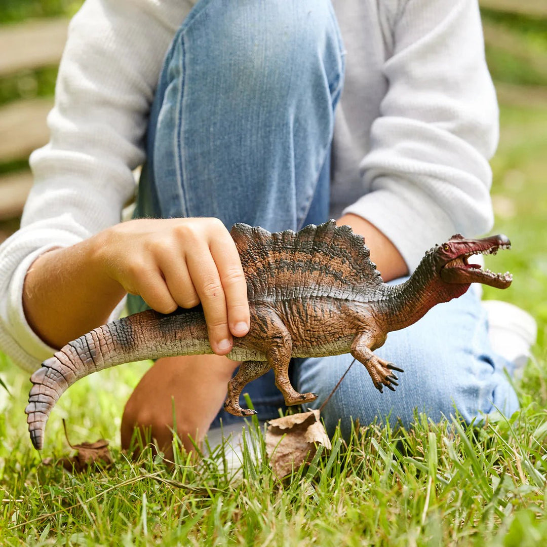 Spinosaurus - Tools 4 Teaching
