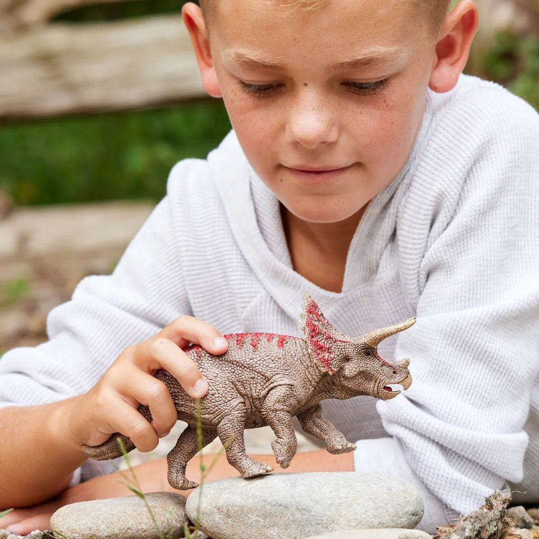 Triceratops - Tools 4 Teaching