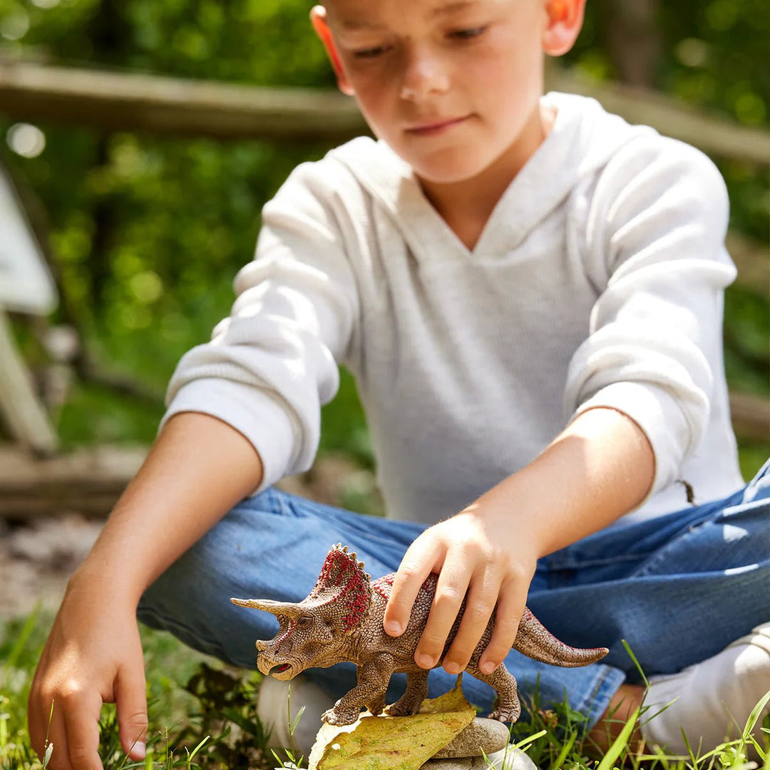 Triceratops - Tools 4 Teaching