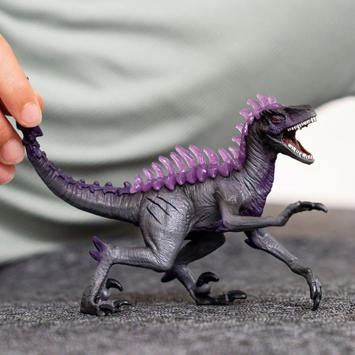 Shadow Raptor - Tools 4 Teaching