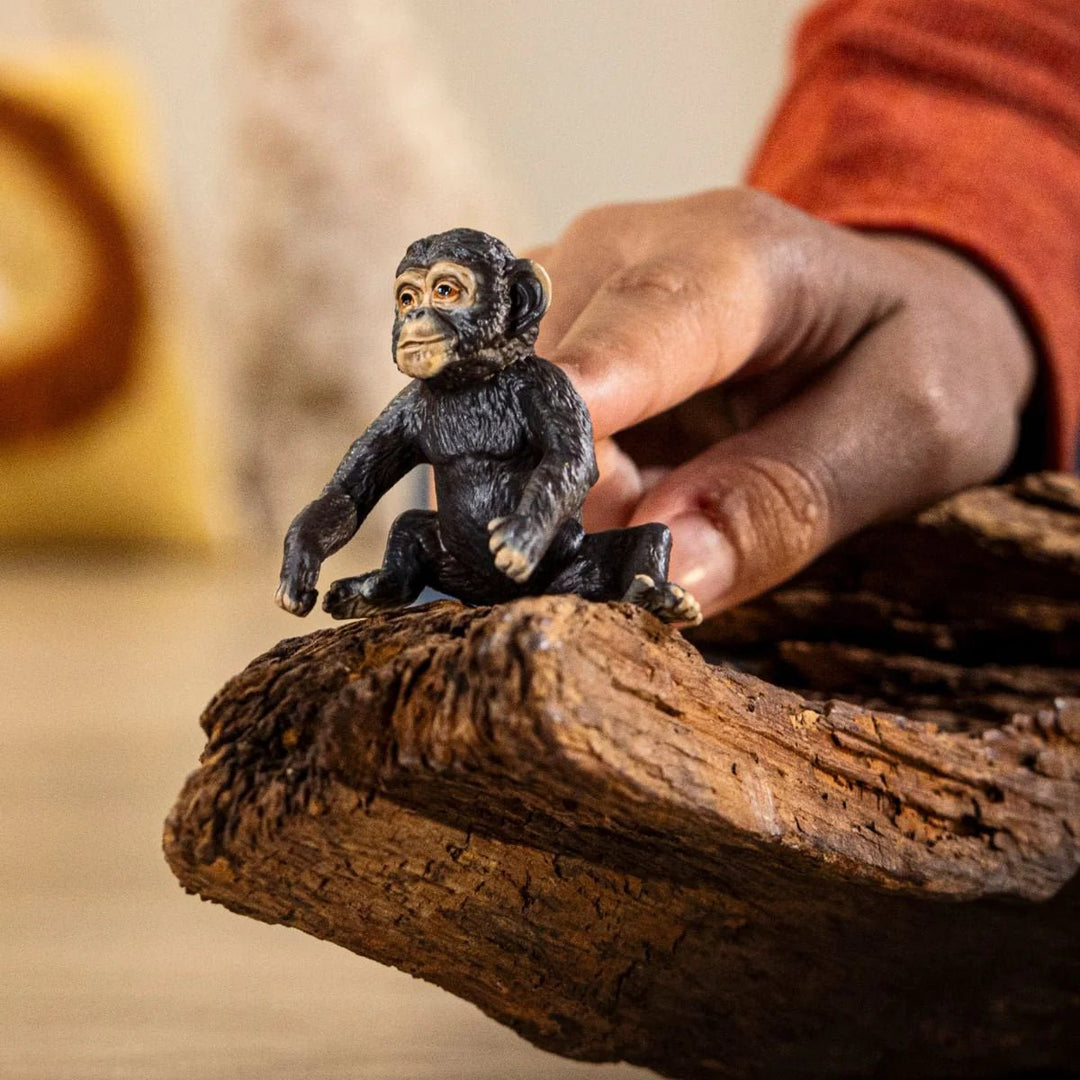 Chimpanzee Cub - Tools 4 Teaching