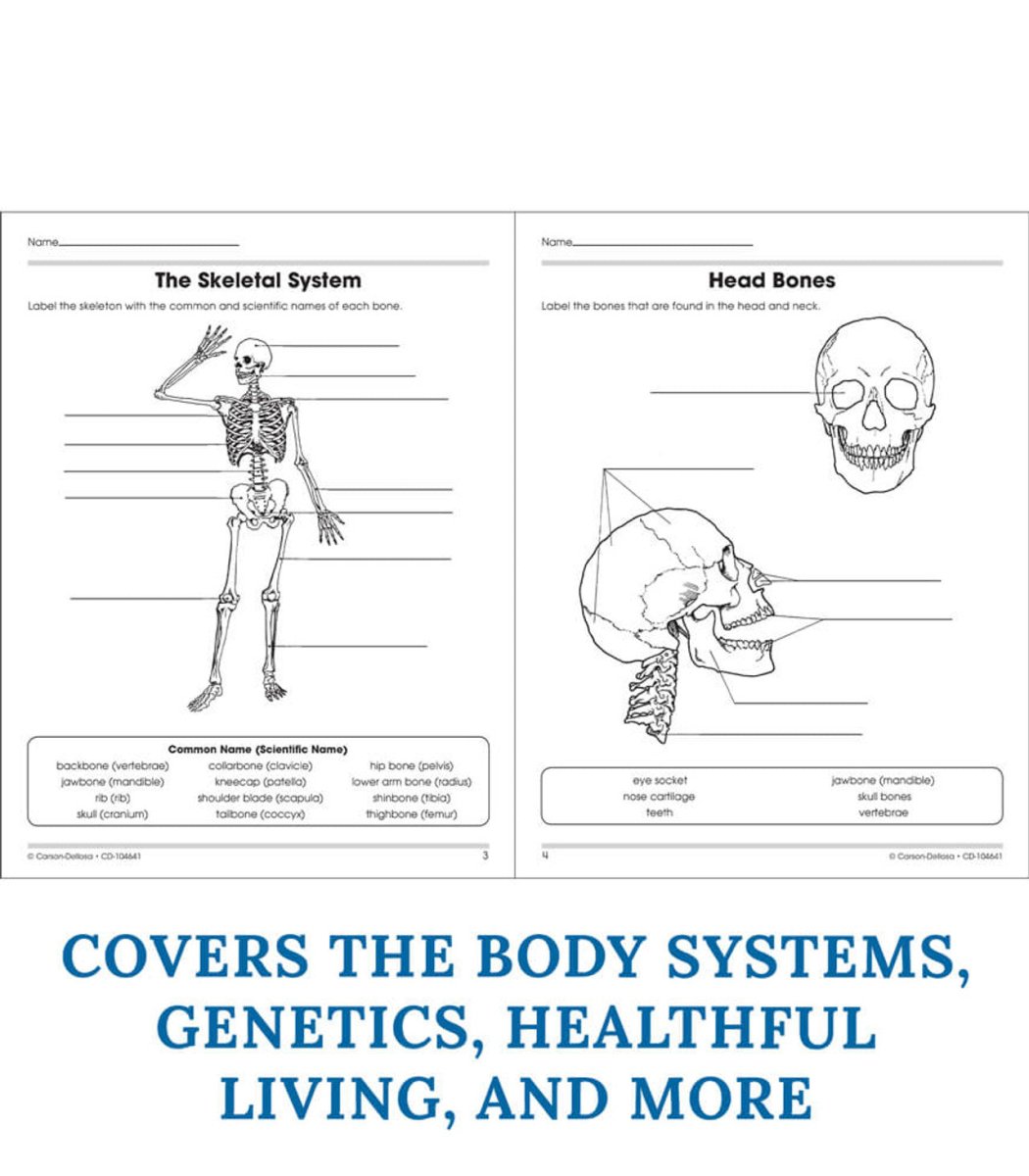 The 100+ Series™: Human Body Workbook Grade 5-8 (Paperback)-Science & STEM-Tools 4 Teaching-Classroom Decor and More