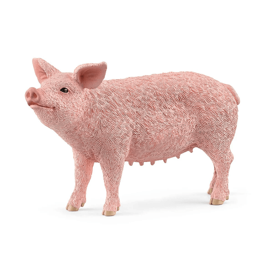Pig-Schleich USA-Tools 4 Teaching-Classroom Decor and More