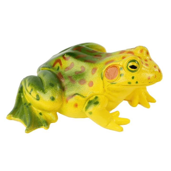Frog Life Cycle Figurines-Science & STEM-Tools 4 Teaching-Classroom Decor and More