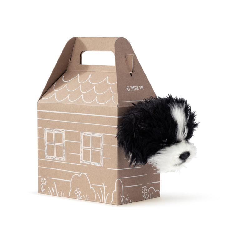 Pop-Up Carrier-Baby & Toddler-Tools 4 Teaching-Classroom Decor and More