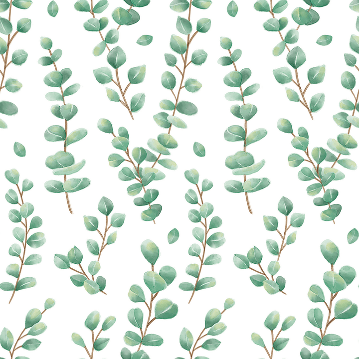 Eucalyptus Peel and Stick Decorative Paper-Bulletin Board Paper - Better Than Paper-Tools 4 Teaching-Classroom Decor and More
