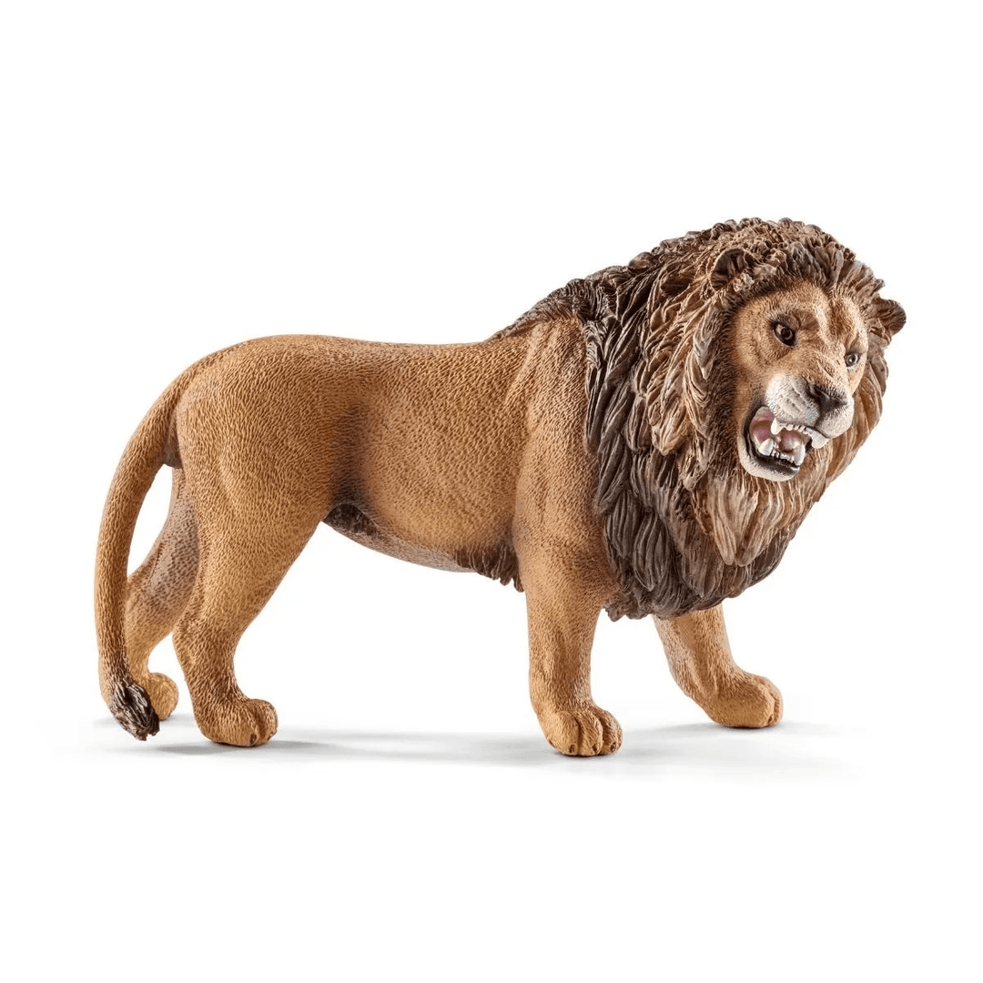 Lion-Schleich USA-Tools 4 Teaching-Classroom Decor and More