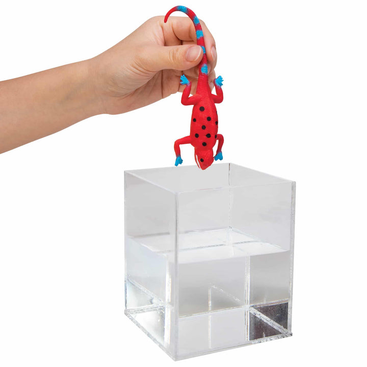 Color Changing Revealeons-Fidgets-Tools 4 Teaching-Classroom Decor and More