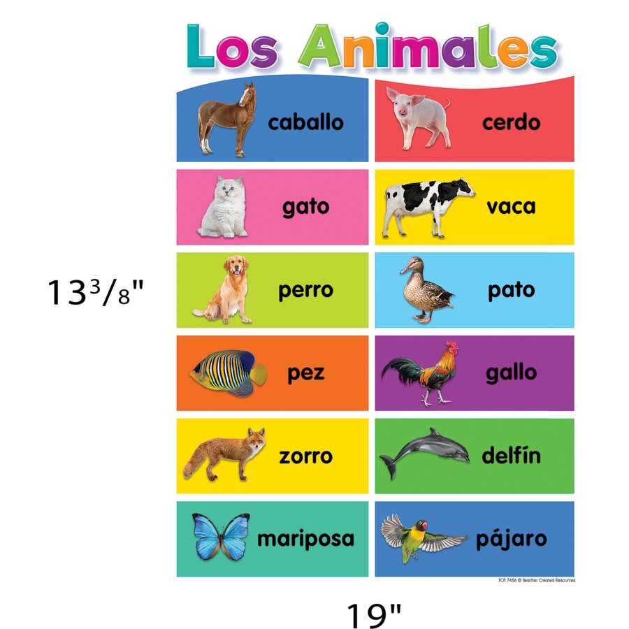 Spanish Colorful Early Learning Small Poster Pack-Posters-Tools 4 Teaching-Classroom Decor and More