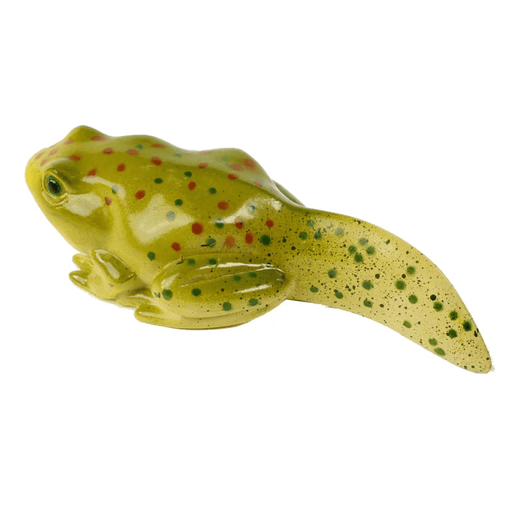 Frog Life Cycle Figurines-Science & STEM-Tools 4 Teaching-Classroom Decor and More