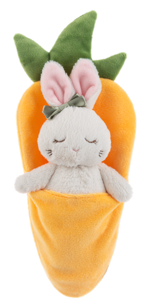 Wee Sleepy Bunny In Carrot