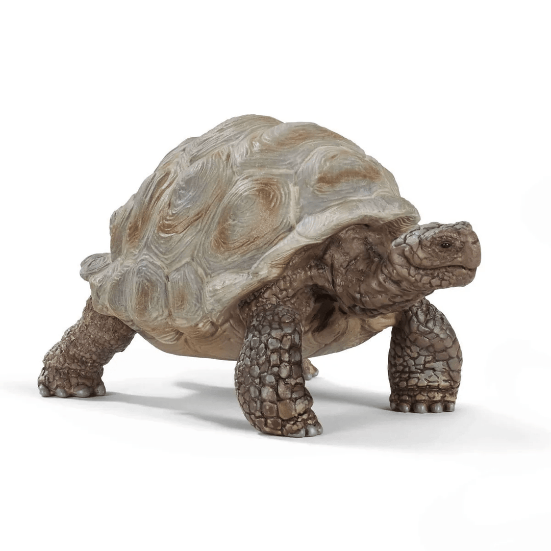 Giant Tortoise-Schleich USA-Tools 4 Teaching-Classroom Decor and More